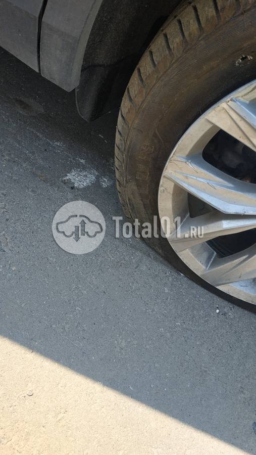 Аукцион тверь авто