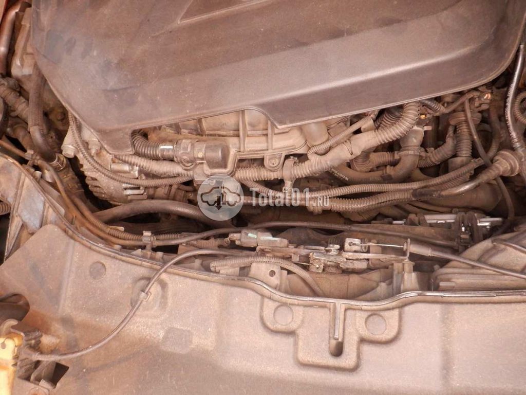 Фото Ford Kuga 96