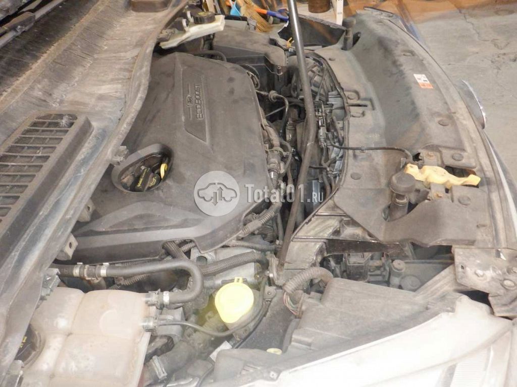 Фото Ford Kuga 114