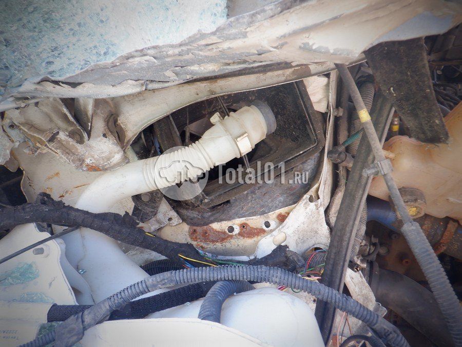 Фото Iveco Daily 88