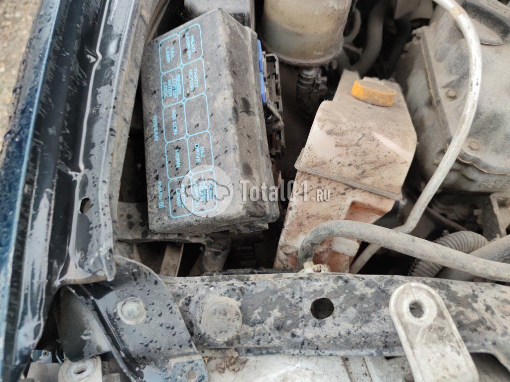 Фото Nissan Bluebird 186