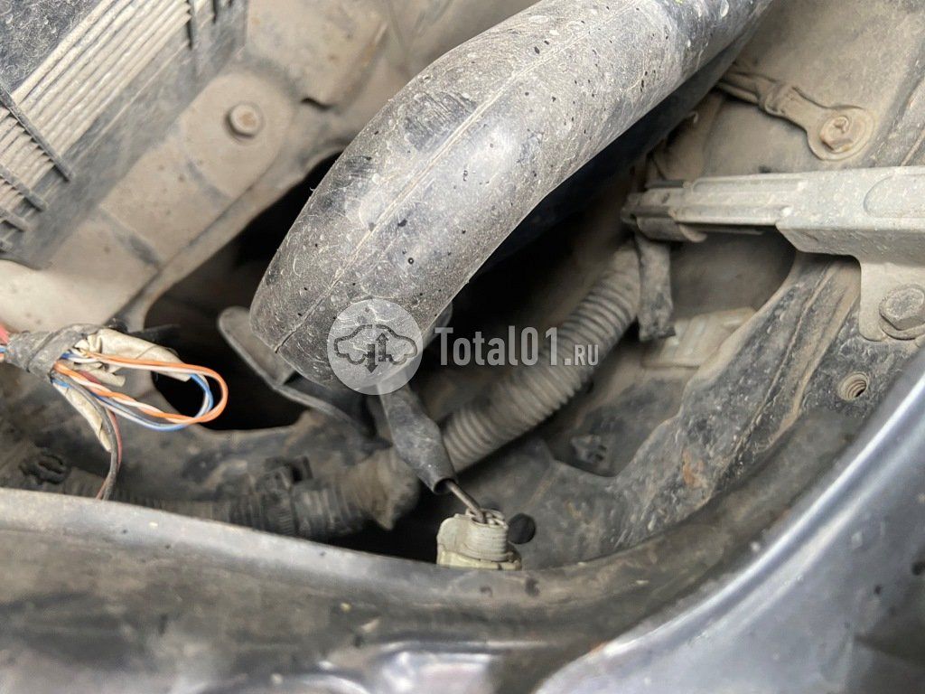 Фото Nissan Sunny 224