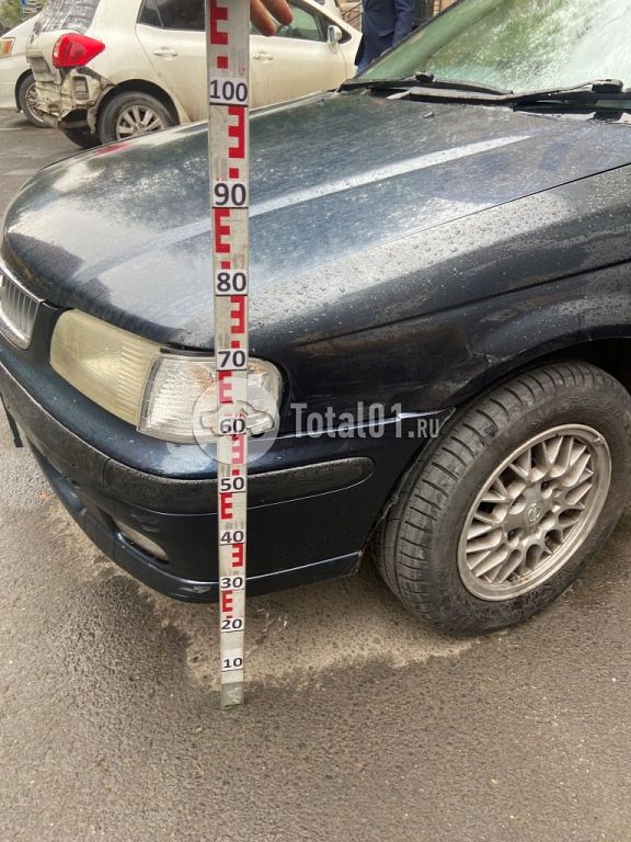 Фото Nissan Sunny 248