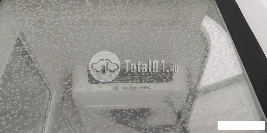 Фото СТ НИЖЕГОРОДЕЦ GST1FP 142