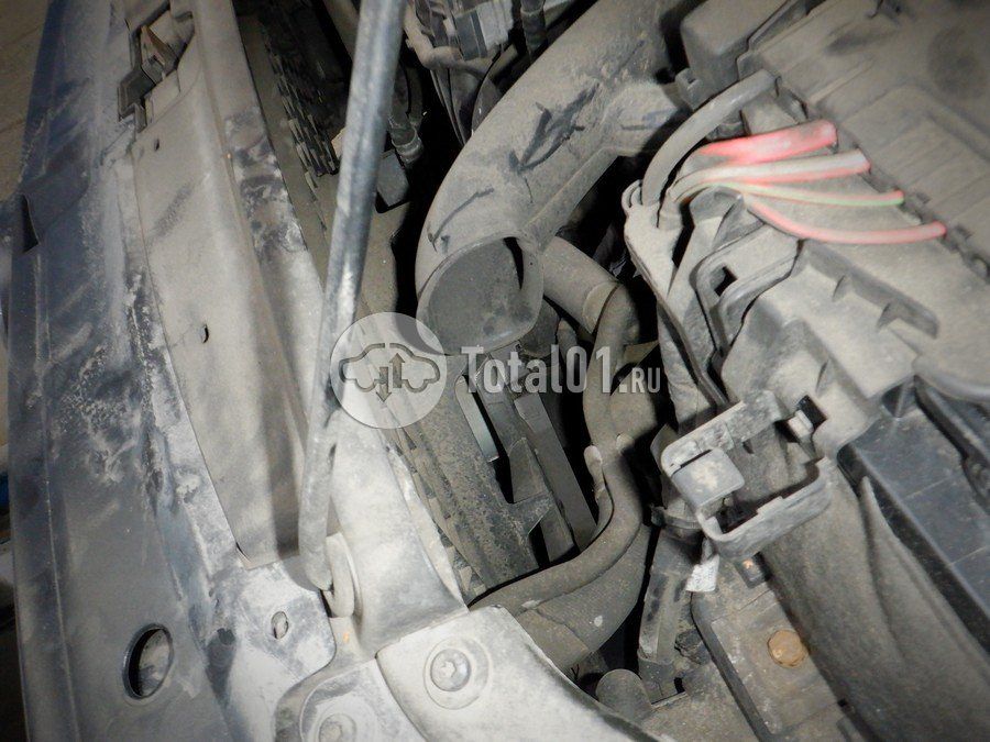 Фото Volkswagen Polo 114