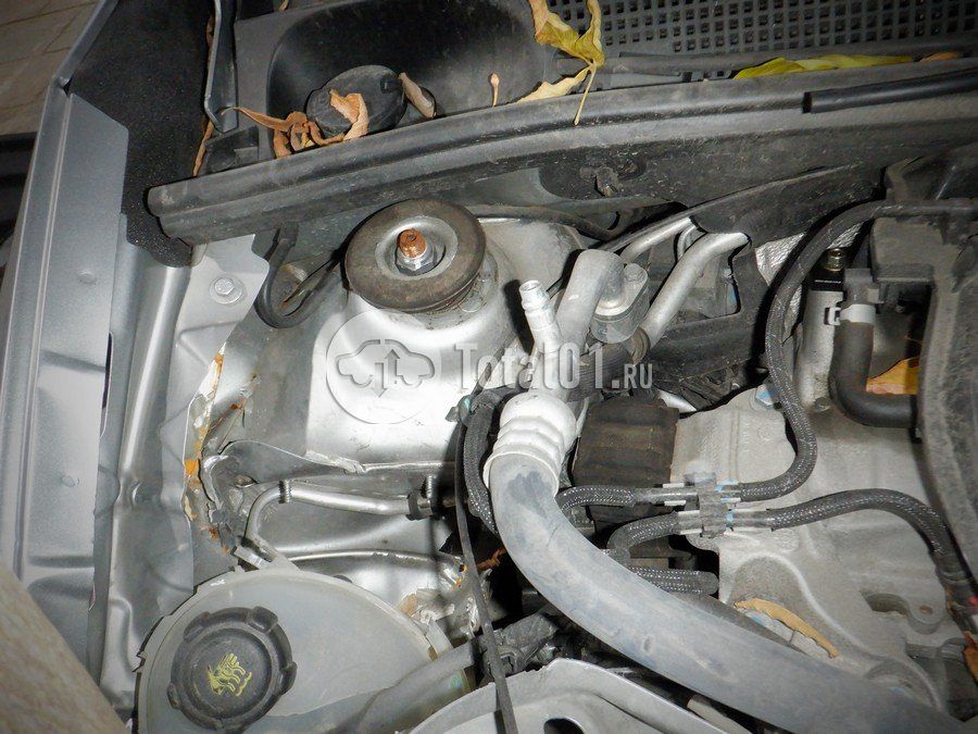 Фото Renault Sandero Stepway 64