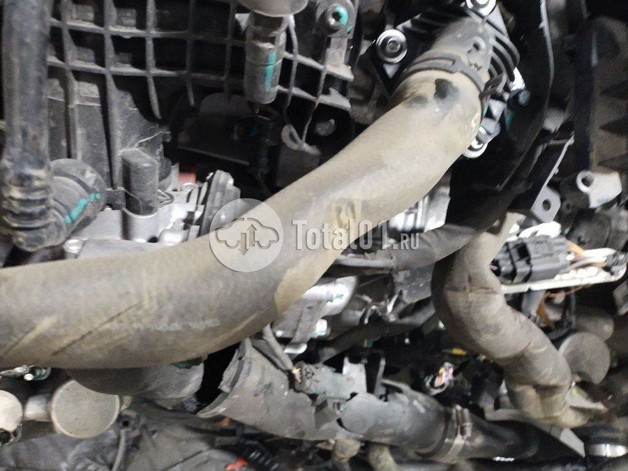 Фото Geely Coolray 238