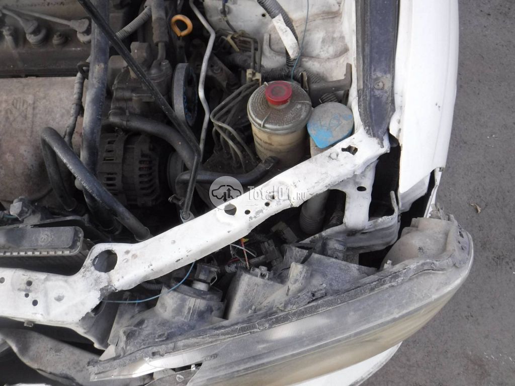 Фото Honda Odyssey 150