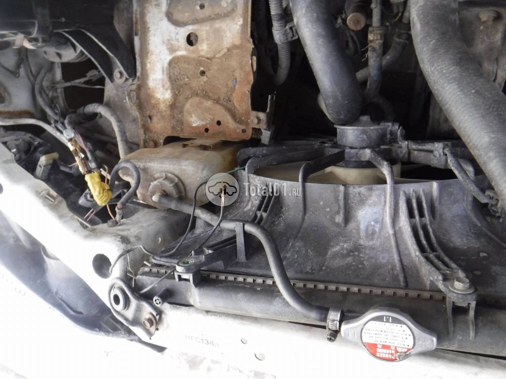 Фото Honda Odyssey 190