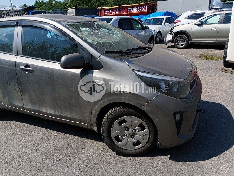 Фото KIA Picanto 10