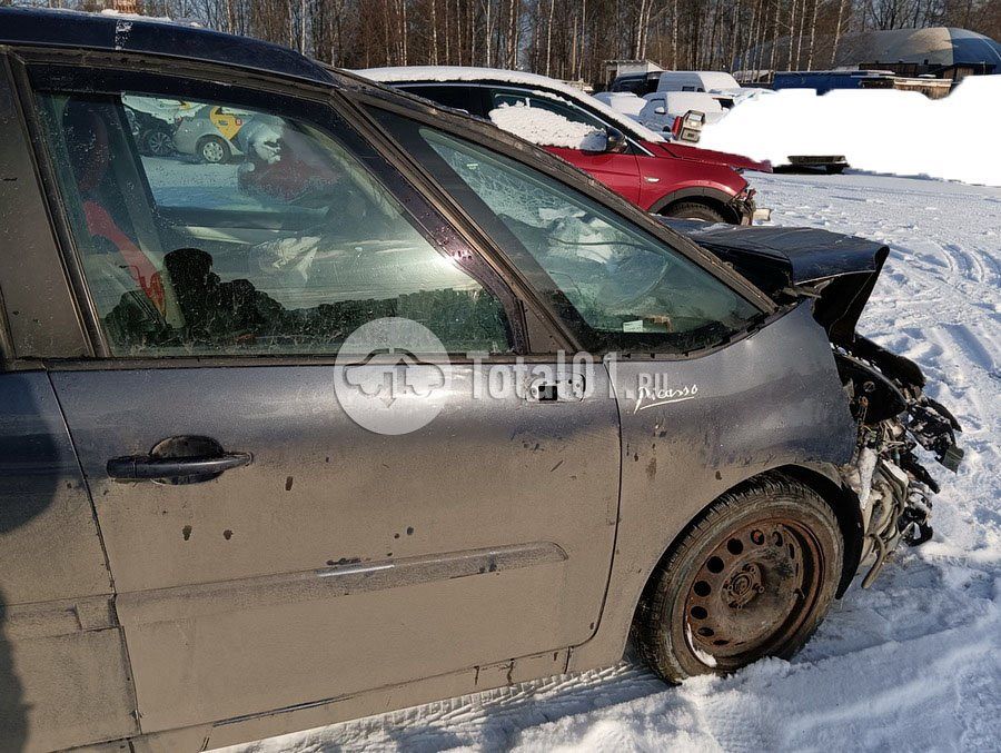 Фото Citroen C4 Picasso 18