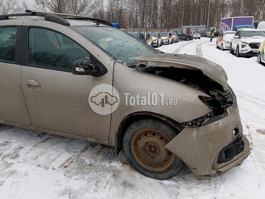 Фото Renault Sandero 14