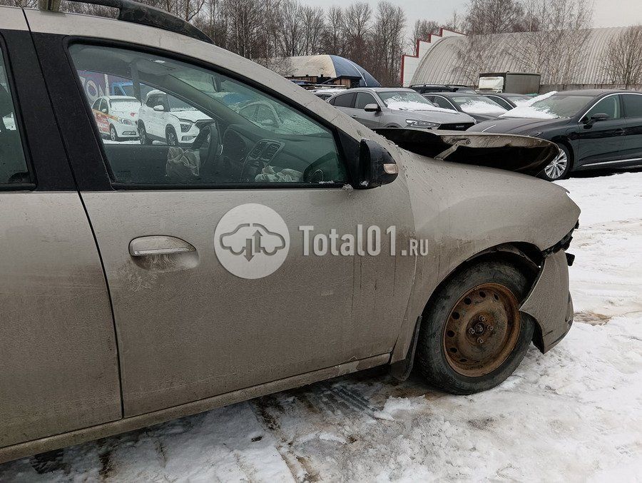 Фото Renault Sandero 20