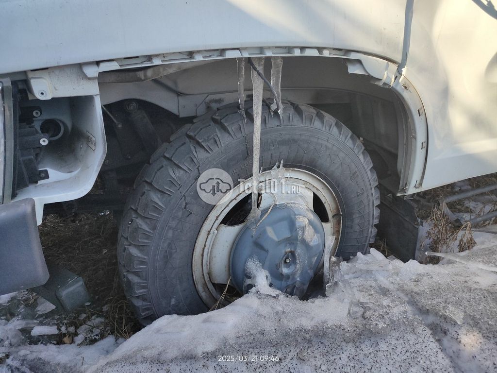 Фото ГАЗ ГАЗ 2824FS 36