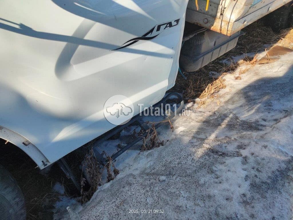 Фото ГАЗ ГАЗ 2824FS 298