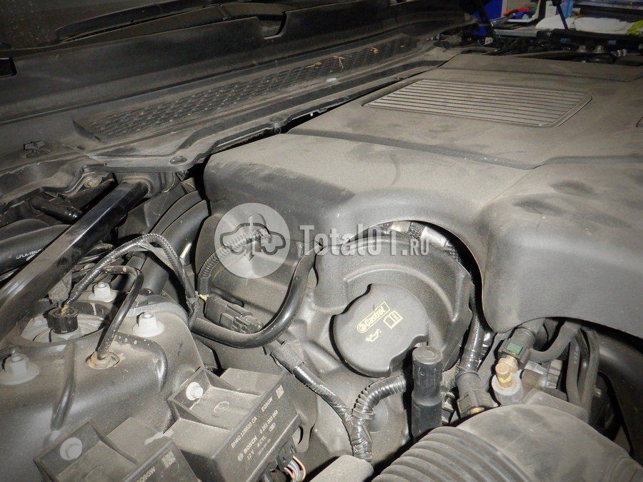 Фото Land Rover Range Rover 238