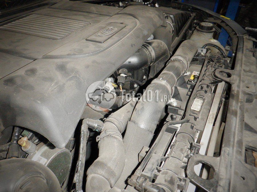 Фото Land Rover Range Rover 252