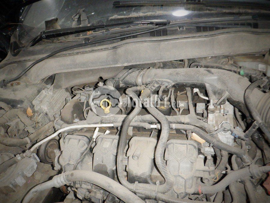 Фото Ford Fusion 210