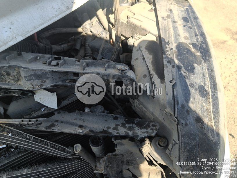 Фото Volkswagen Golf 50