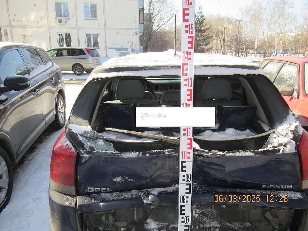 Фото Opel Signum 6