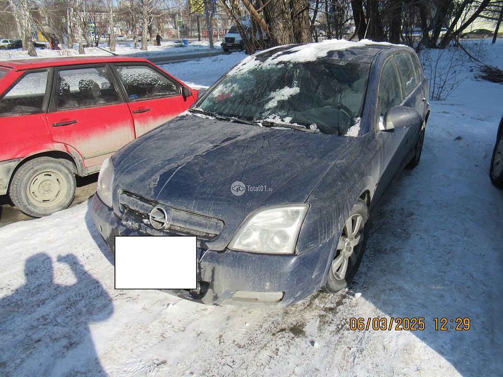 Фото Opel Signum 10