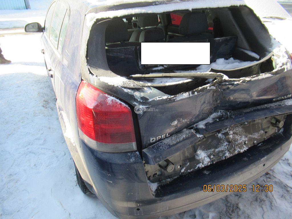 Фото Opel Signum 18