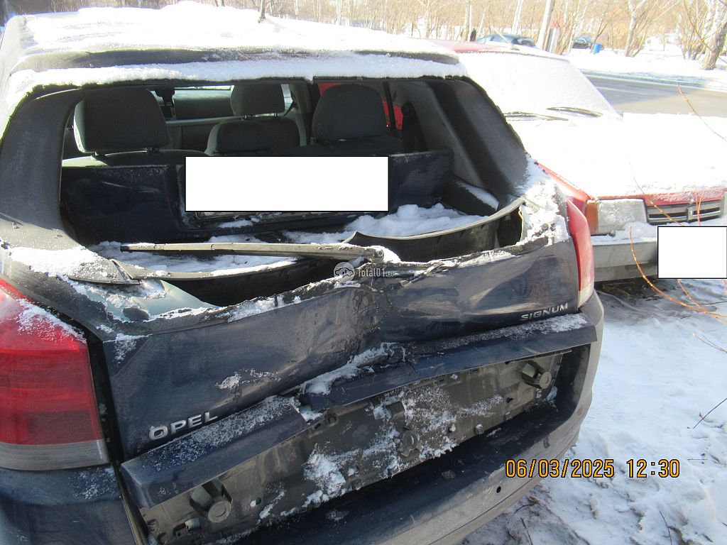 Фото Opel Signum 20
