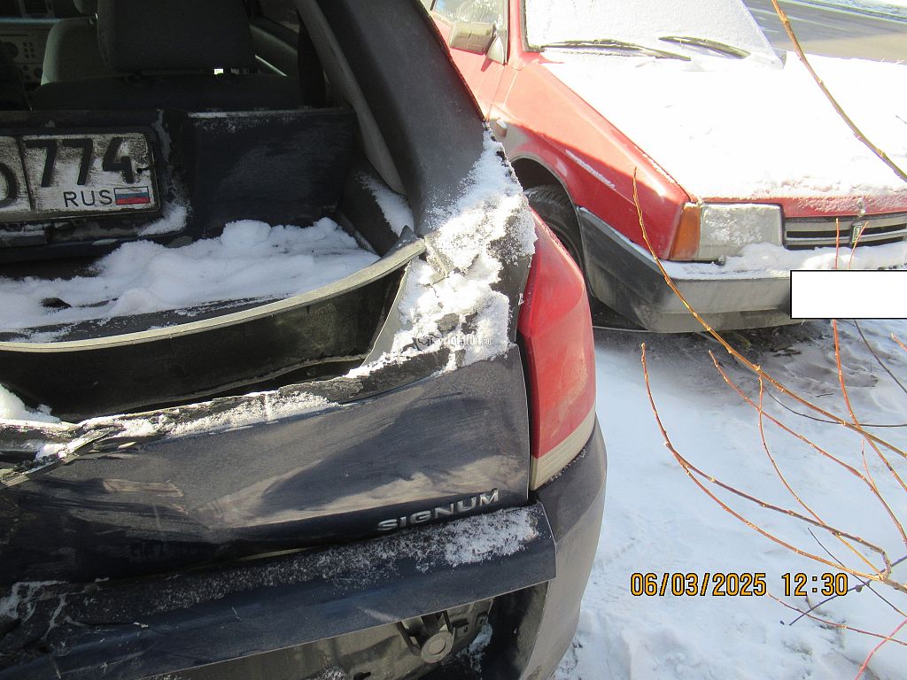 Фото Opel Signum 22