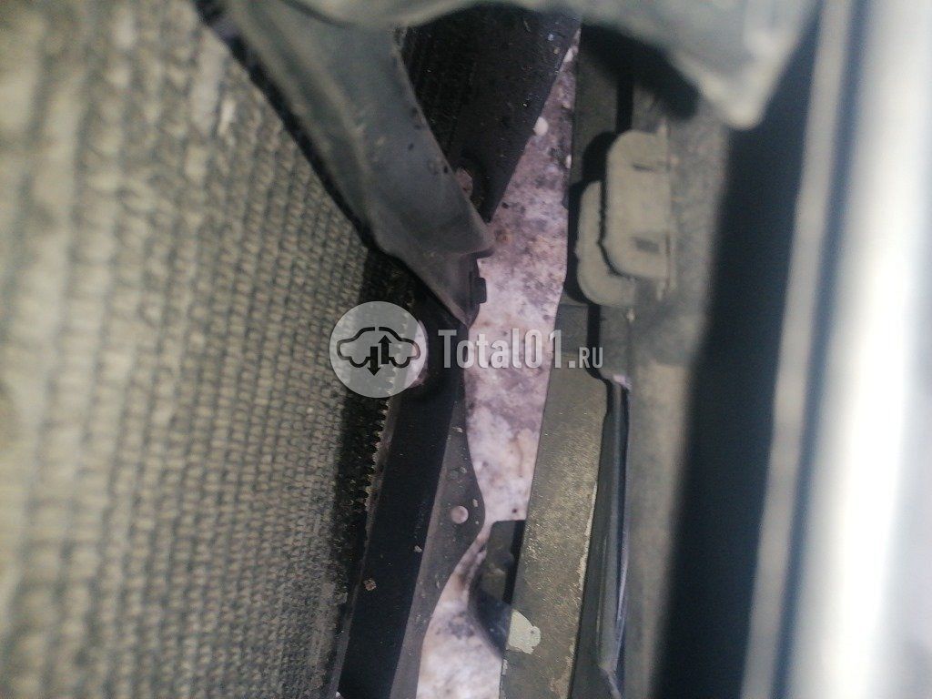 Фото Toyota Progres 124