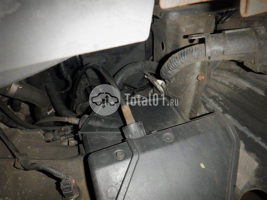 Фото Ford Focus 262
