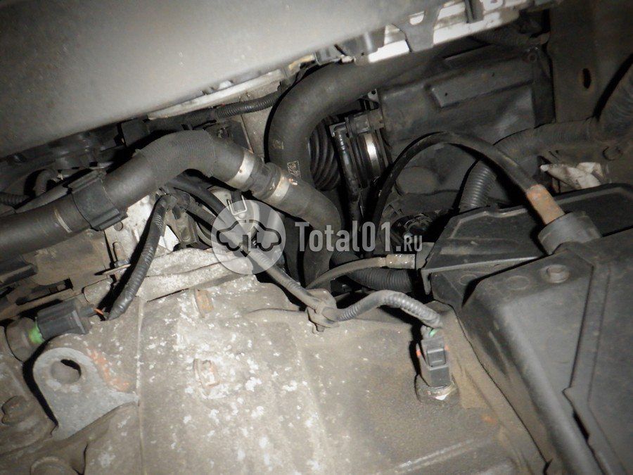 Фото Ford Focus 268