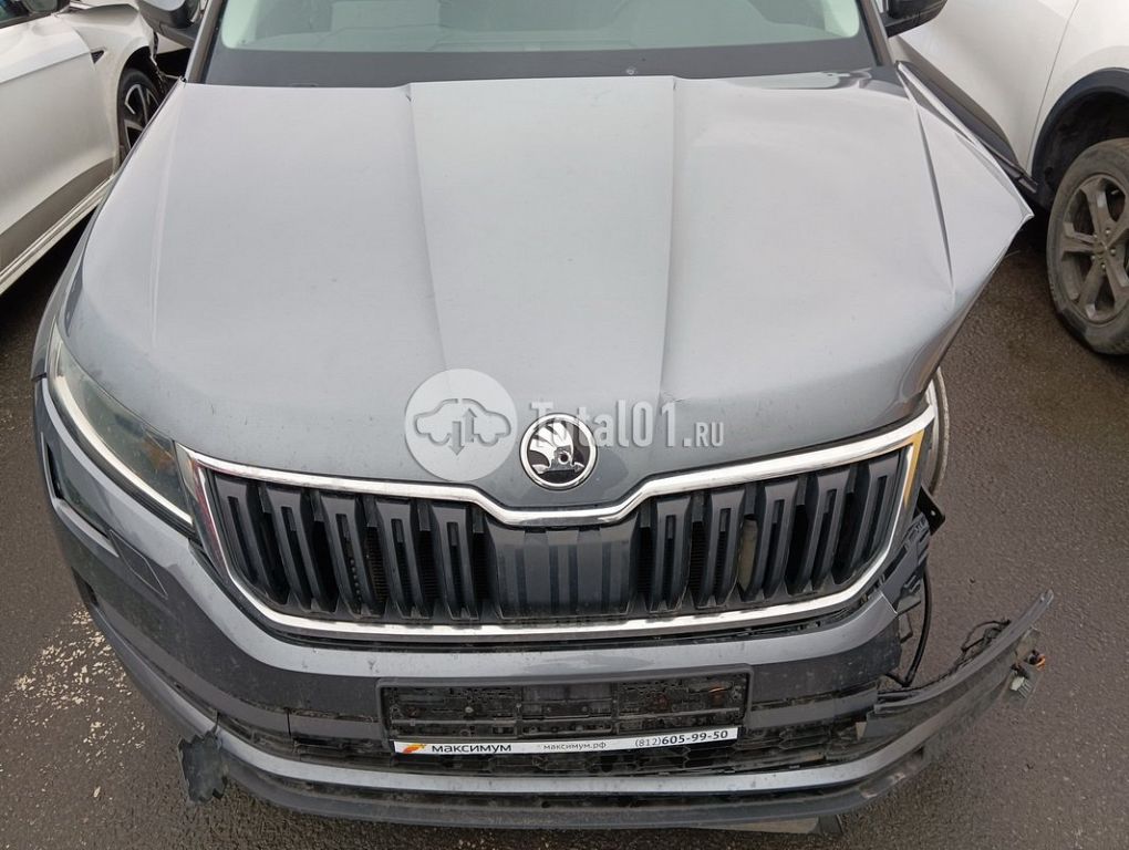Фото Skoda Kodiaq 22