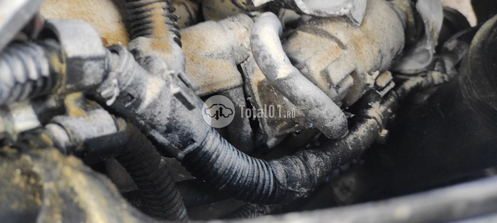 Фото Volkswagen Polo 42