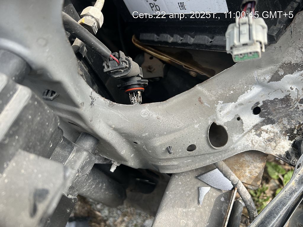 Фото Nissan Presage 144