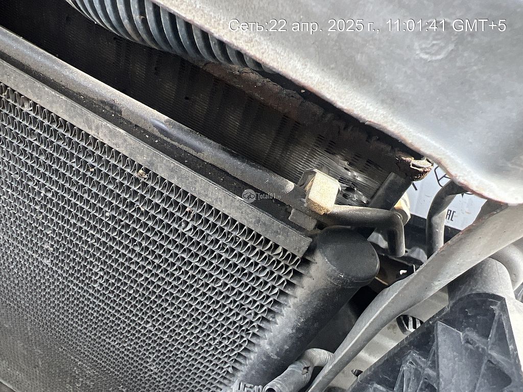 Фото Nissan Presage 184