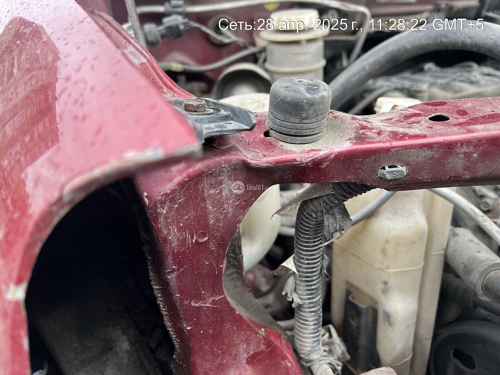 Фото Mitsubishi Dion 144