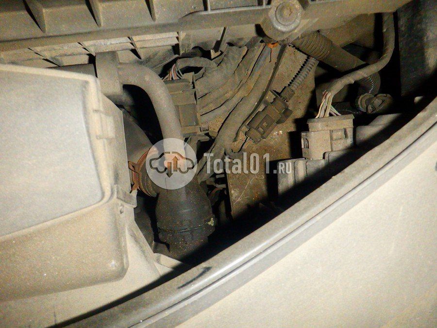 Фото Volkswagen Passat 264