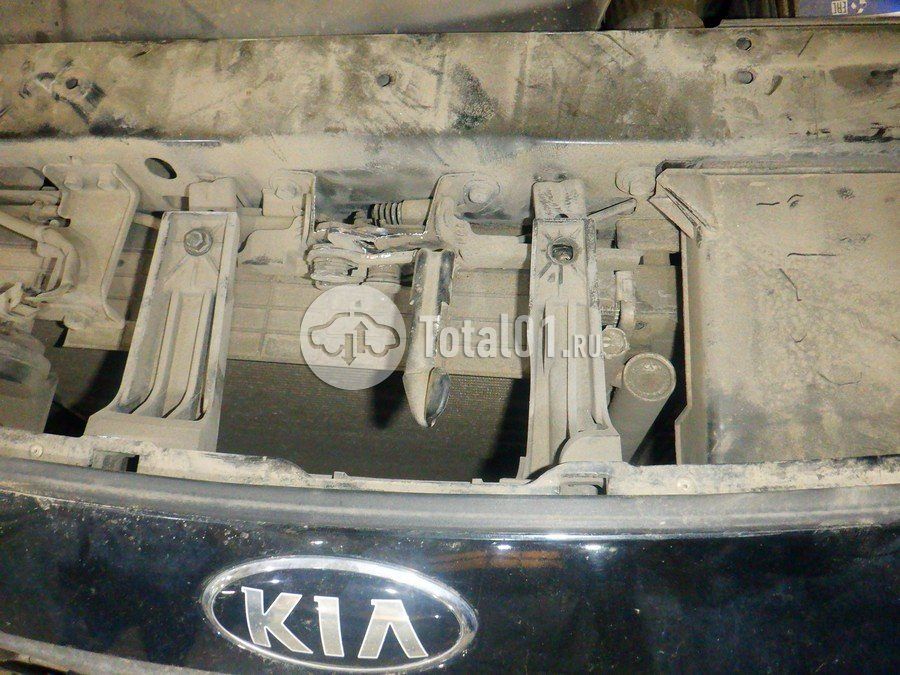 Фото KIA Carnival 254