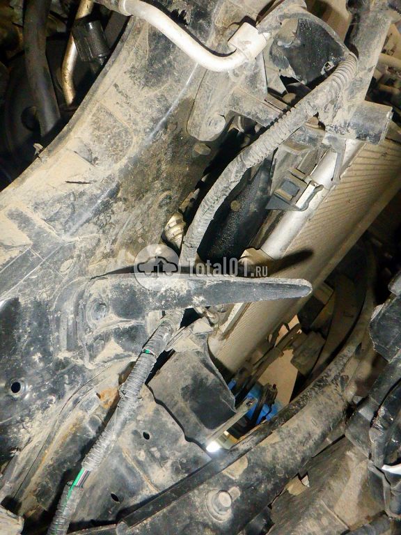 Фото KIA Carnival 300