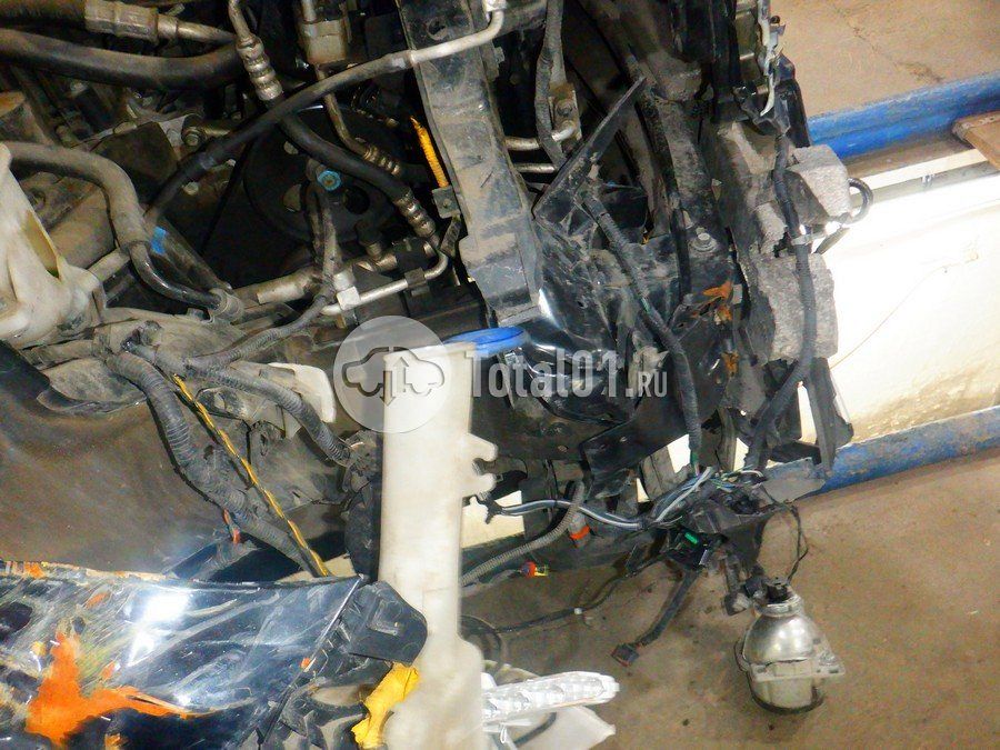 Фото KIA Carnival 312