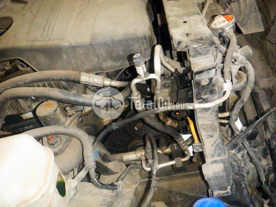 Фото KIA Carnival 316