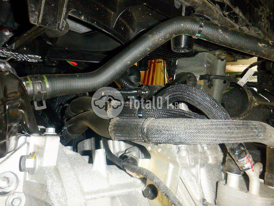 Фото Changan CS55PLUS 300
