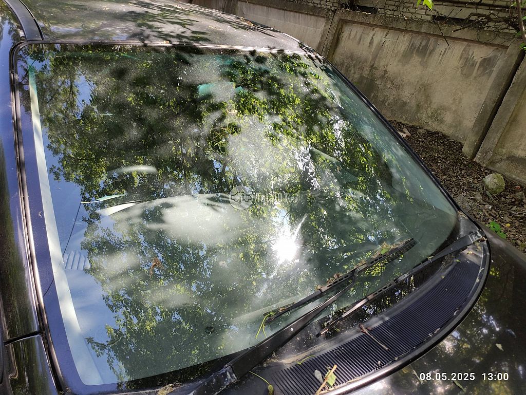 Фото Mazda MPV 22
