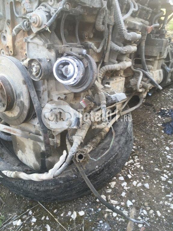 Фото DAF FT XF105 460 184