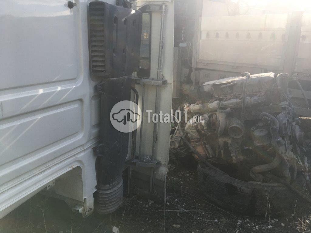 Фото DAF FT XF105 460 304