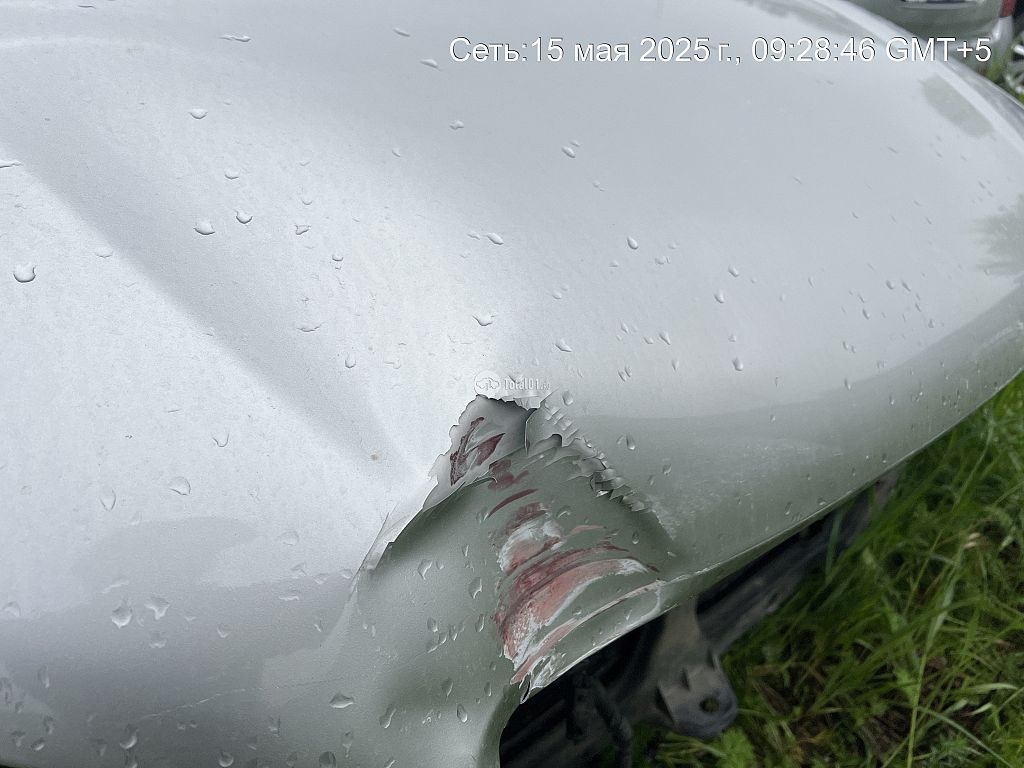 Фото Nissan Stagea 44