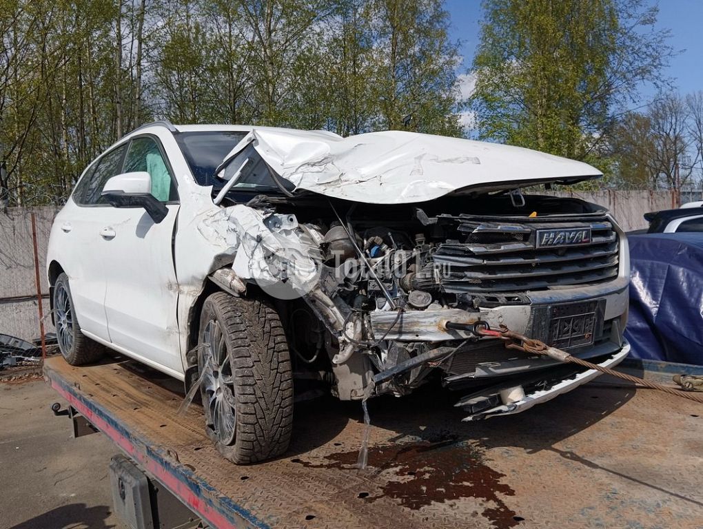 Фото Haval Jolion 26