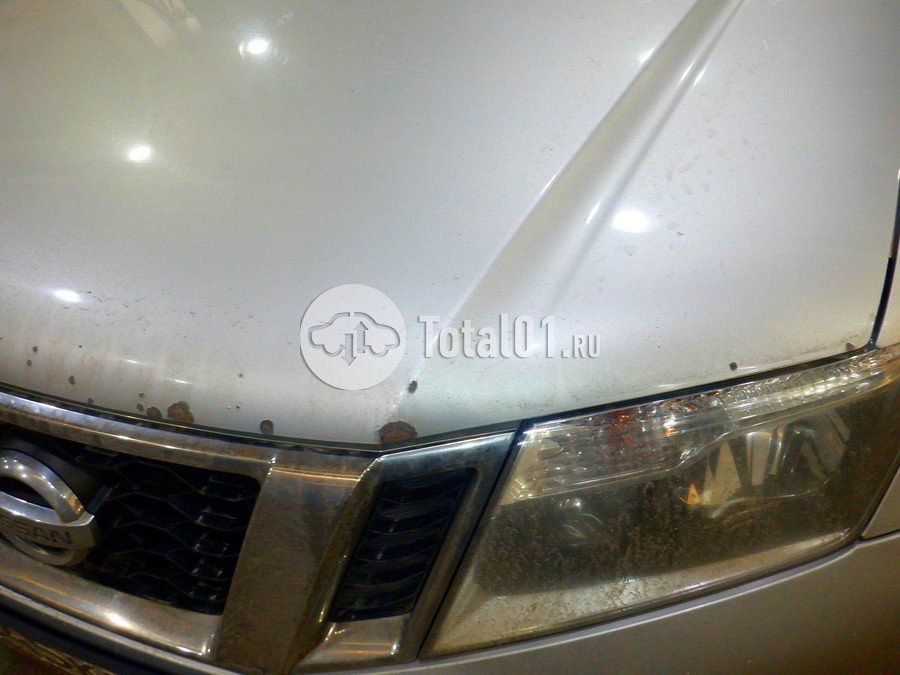 Фото Nissan Terrano 170