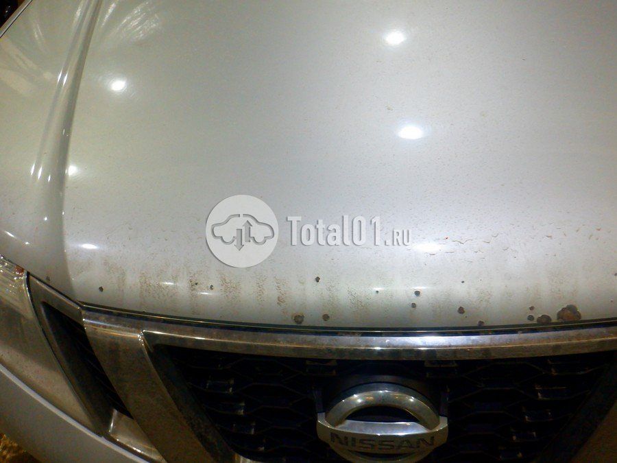 Фото Nissan Terrano 172