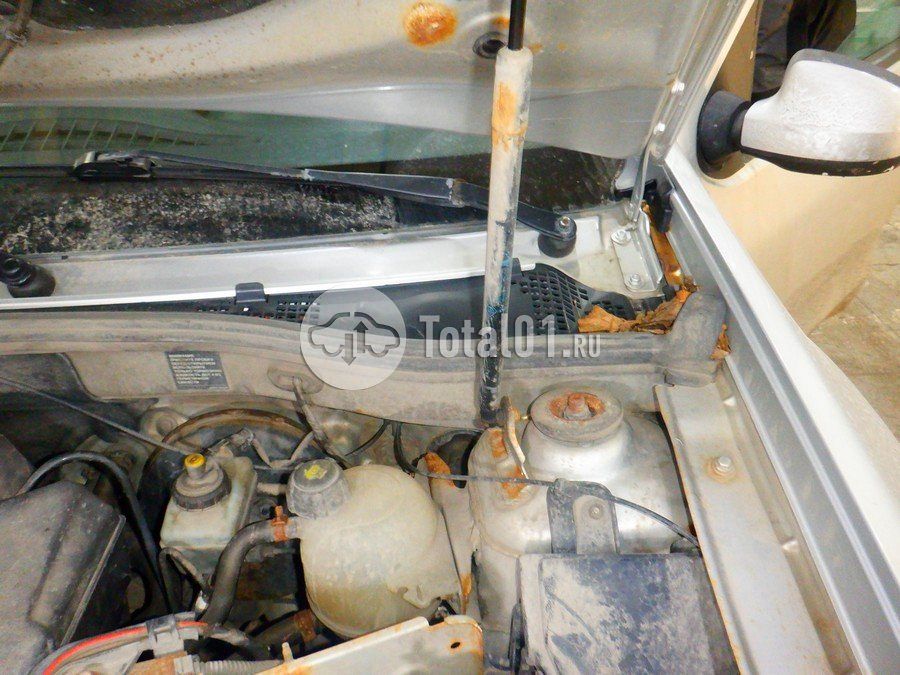 Фото Nissan Terrano 188